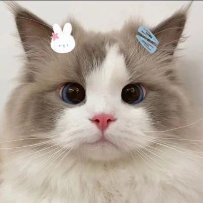 โอ๊ต สายลุย avatar
